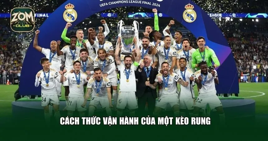 Một kèo rung hoạt động như thế nào? 