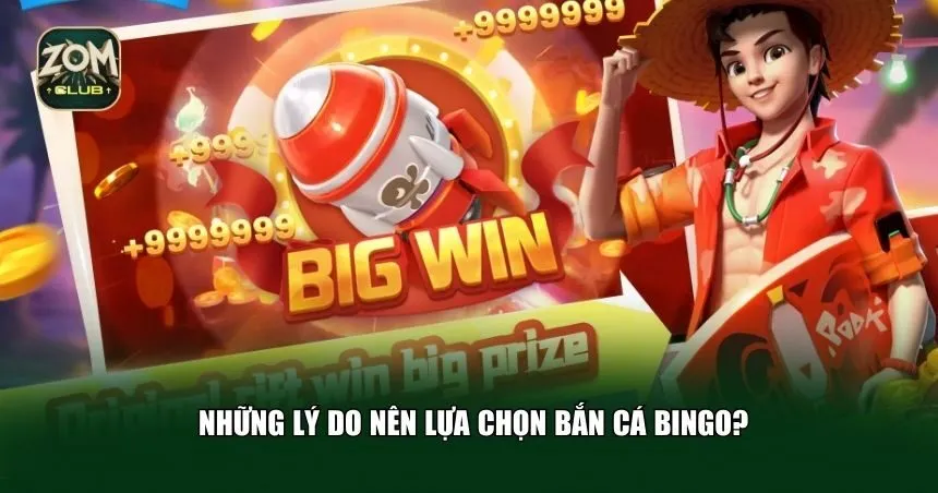 Những lý do nên lựa chọn bắn cá Bingo?