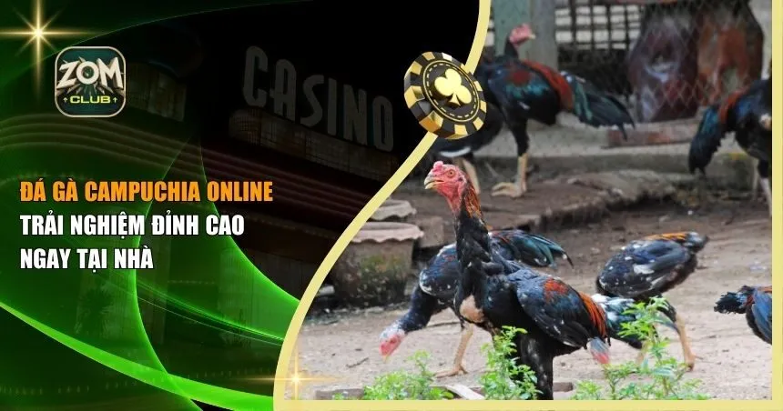đá gà Campuchia