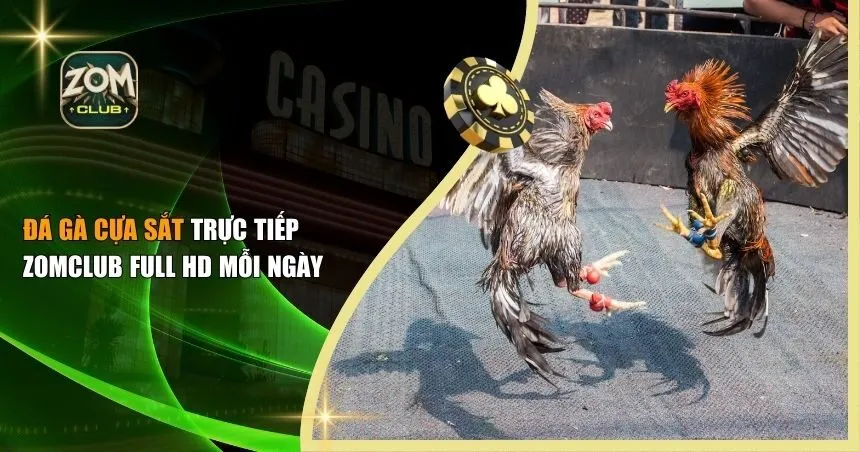 đá gà cựa sắt