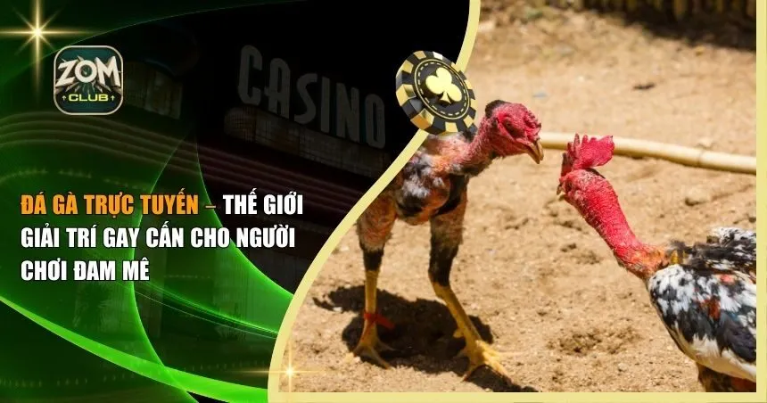đá gà trực tuyến