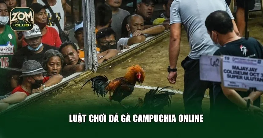 Luật chơi đá gà Campuchia Zomclub